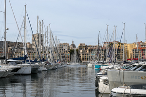 Toiletteur Marseille